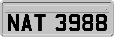 NAT3988