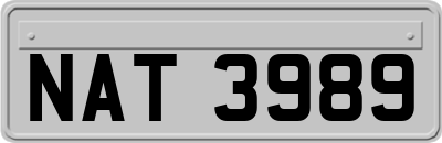 NAT3989