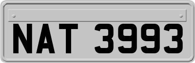 NAT3993