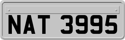 NAT3995