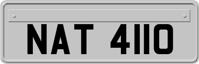 NAT4110