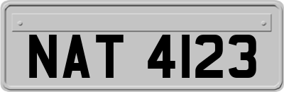 NAT4123