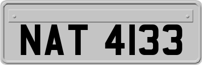 NAT4133