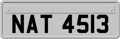 NAT4513