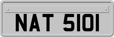 NAT5101