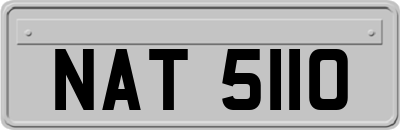 NAT5110