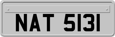 NAT5131