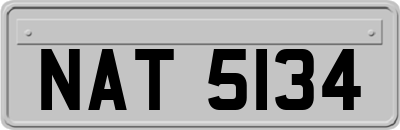 NAT5134