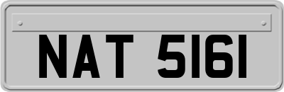 NAT5161