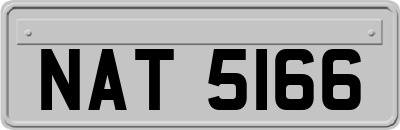 NAT5166