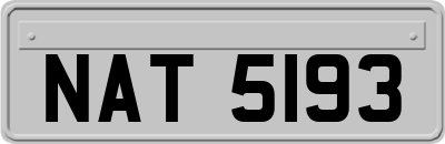 NAT5193