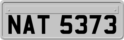 NAT5373