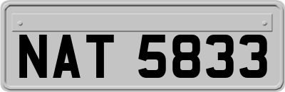 NAT5833