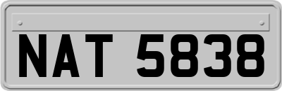 NAT5838