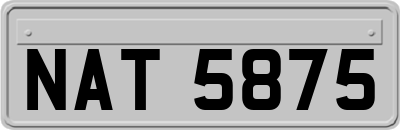 NAT5875