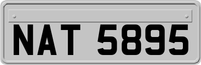 NAT5895