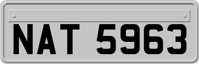 NAT5963