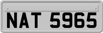 NAT5965