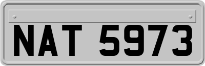 NAT5973