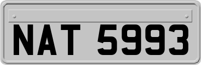 NAT5993