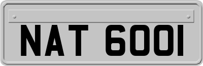 NAT6001