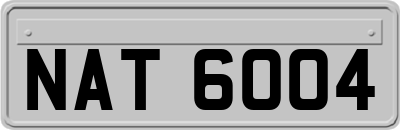 NAT6004