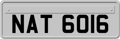 NAT6016