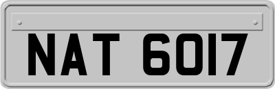 NAT6017