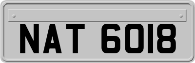 NAT6018