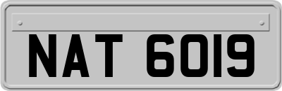 NAT6019