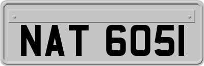 NAT6051