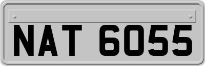 NAT6055