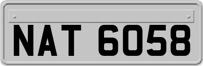 NAT6058