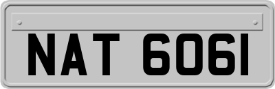 NAT6061