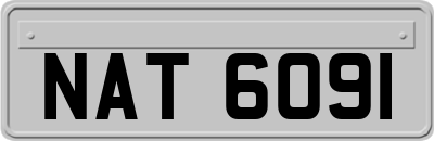 NAT6091