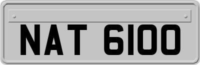 NAT6100