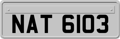 NAT6103