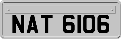 NAT6106