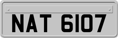 NAT6107