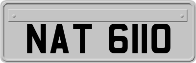 NAT6110