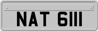 NAT6111