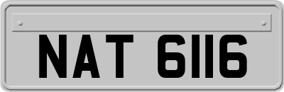 NAT6116