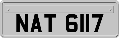 NAT6117