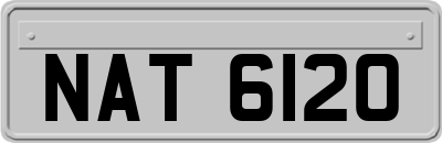 NAT6120