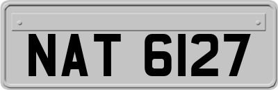 NAT6127