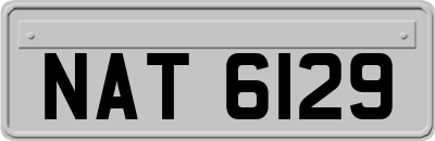 NAT6129