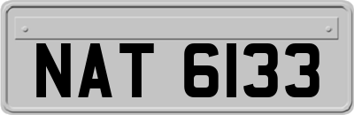 NAT6133