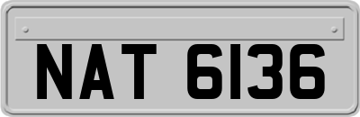 NAT6136