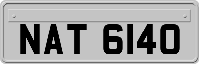 NAT6140