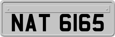 NAT6165